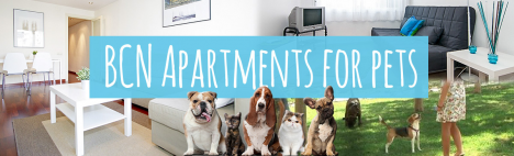 Top 5 apartamentos para animales