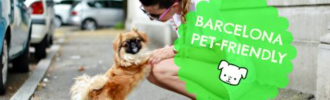 Barcelona con tu Mascota: una Ciudad Pet-Friendly!