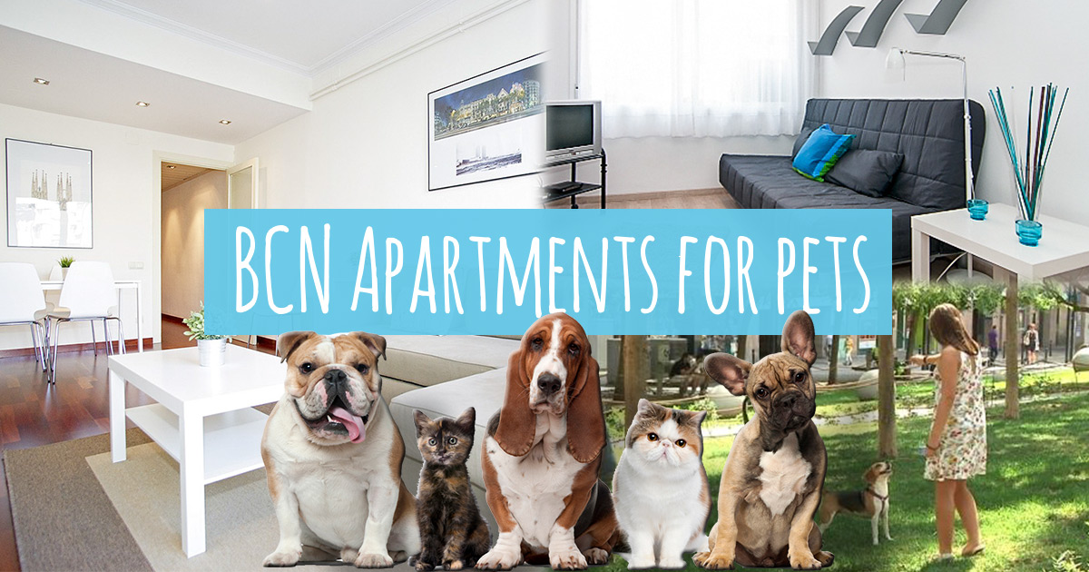 Top 5 apartamentos para animales