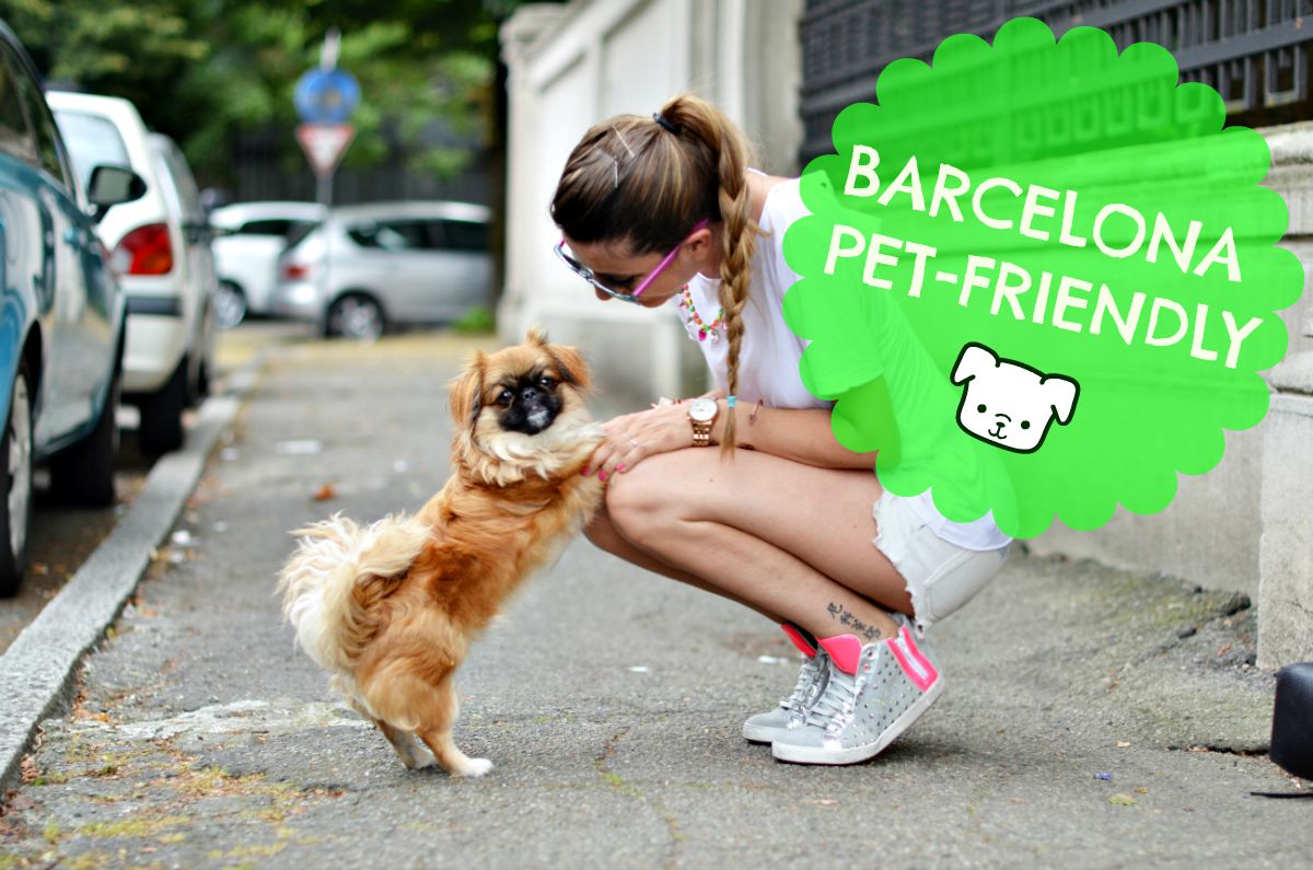 Barcellona a quattro zampe, una capitale pet-friendly.