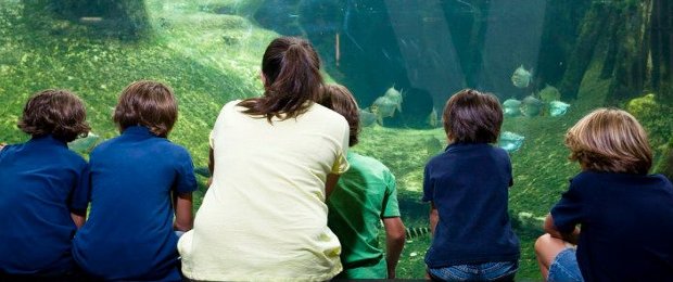 In de CosmoCaixa