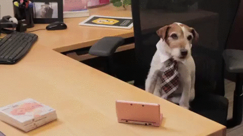 Business Dog Gif