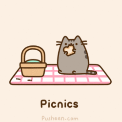 Пикник