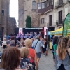 Fiestas de Sant Roc 3