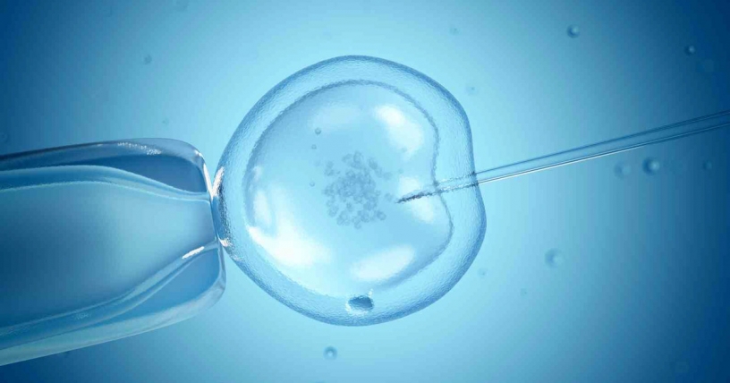 IVF close-up