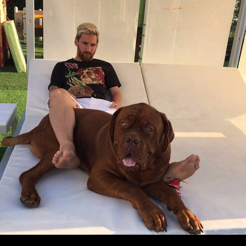 Messi with one of his dogs
