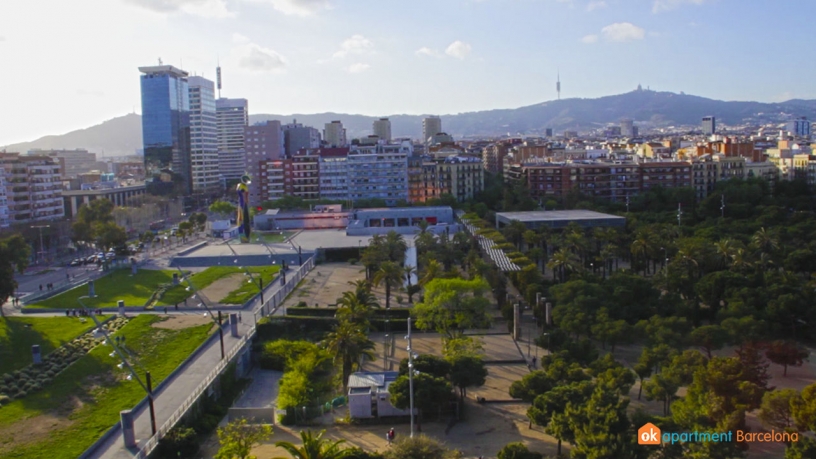 Parc de Joan Miró