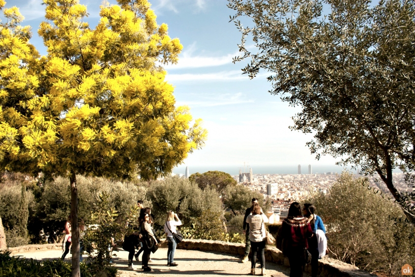 Besucher machen Fotos vom Park Güell aus