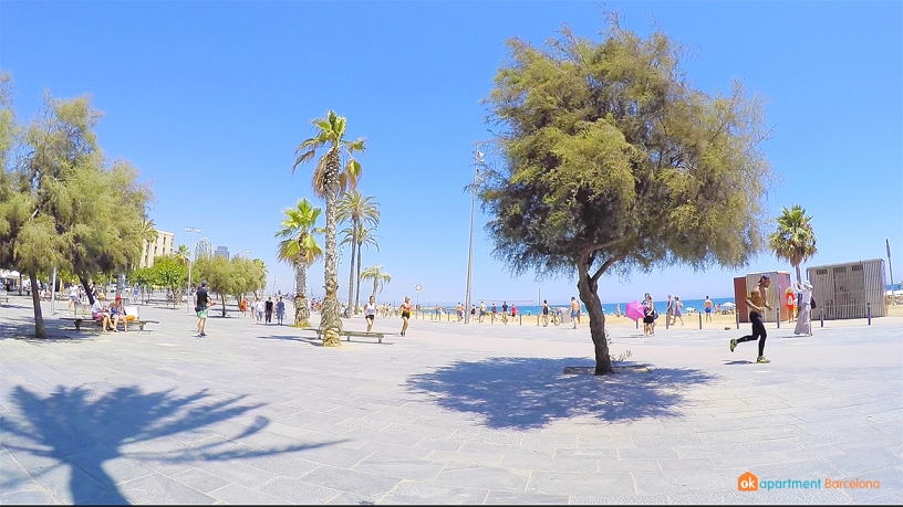 promenade barceloneta 