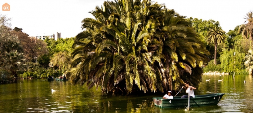 Barcelona Rowing Boat Ride