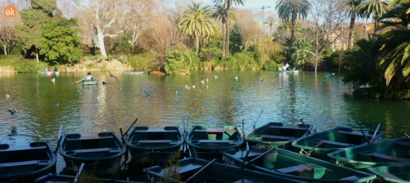 The boats of Ciutadella