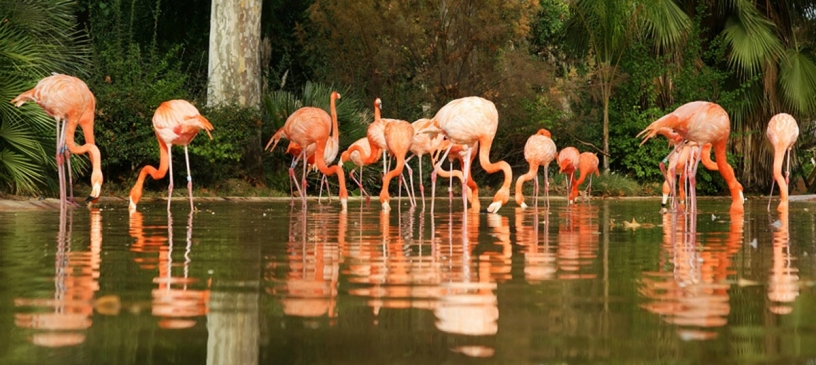 Barcelona Zoo