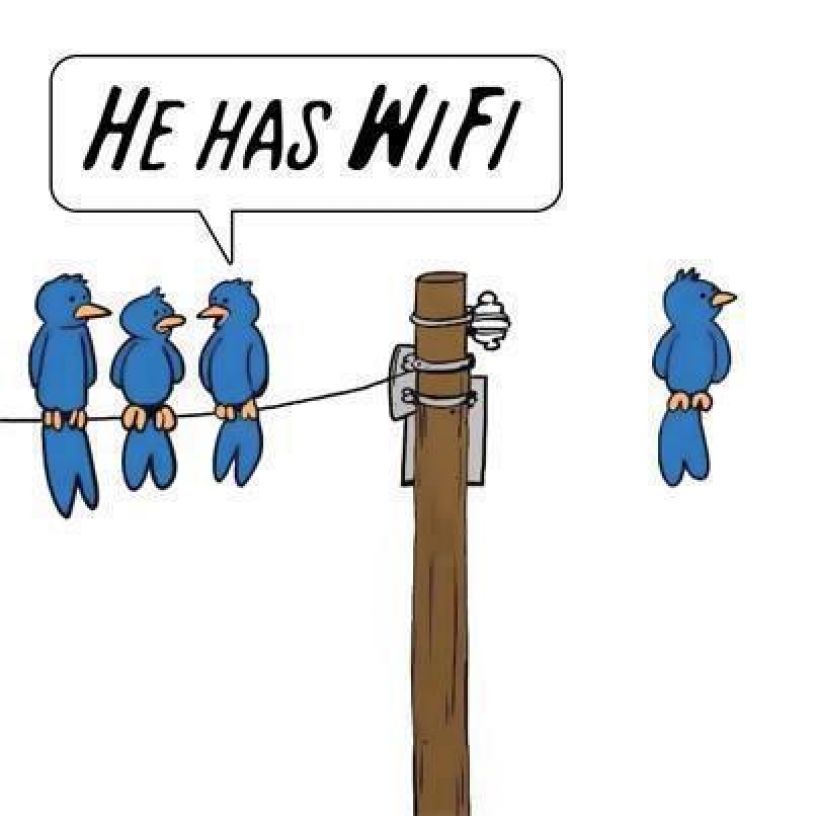 Ptak ma wifi