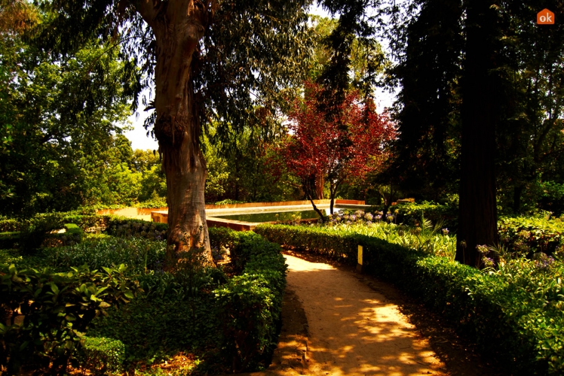 Garden in Barcelona's labyrinth park