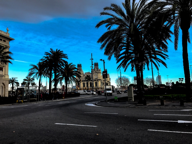 palmtrees port vell