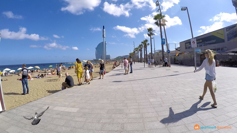 paloma beach barceloneta 