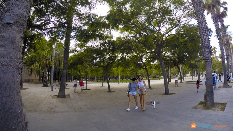 Park of la Barceloneta 