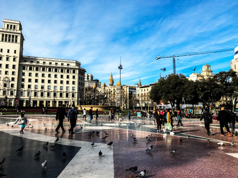 Pigeon Plaza Catalunya