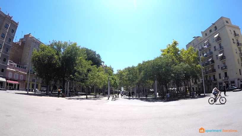 Plaça del Poeta Boscà barceloneta 