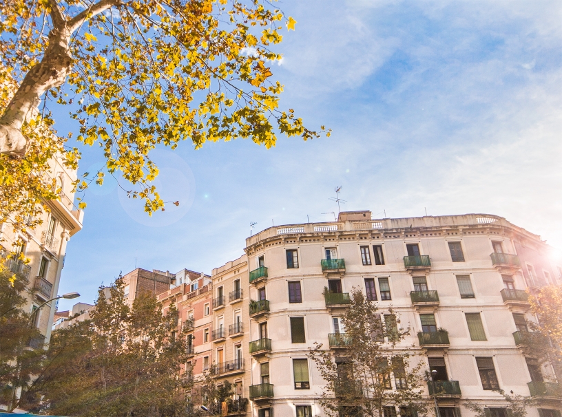 Sunshine on the buildings