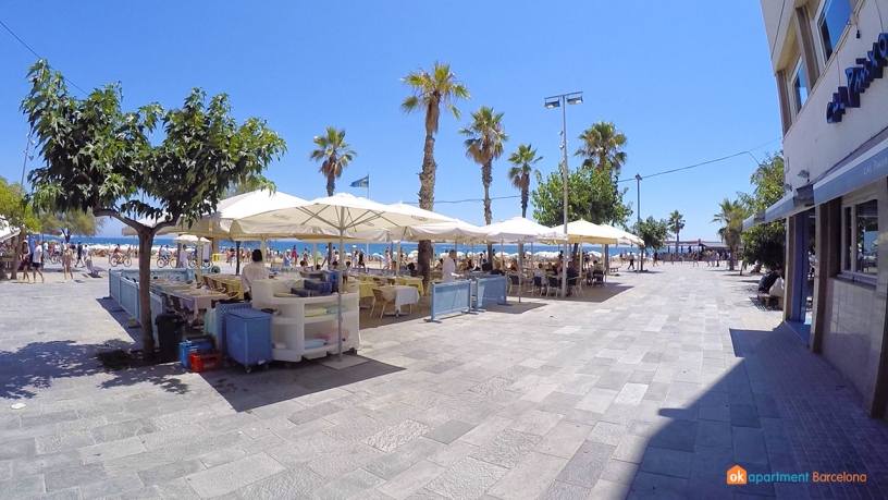 bar Barceloneta 