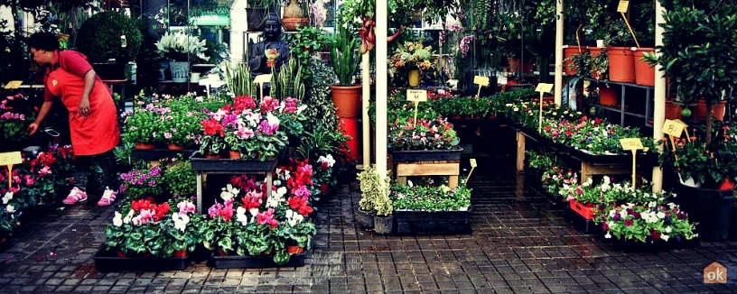 Mercat de les Flors