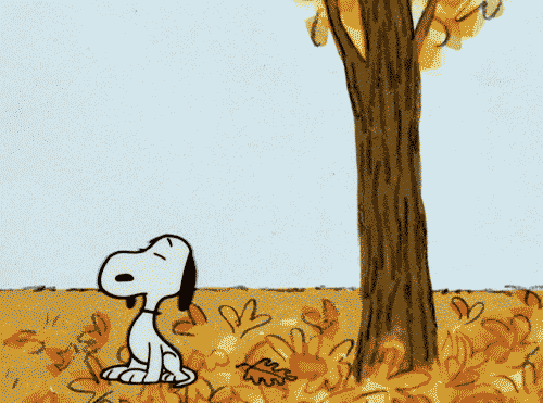 If Snoopy can have this much fun in October, so can you!