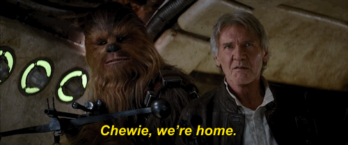 Han and Chewie - We're home GIF