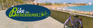 Bike rental and tours in the city