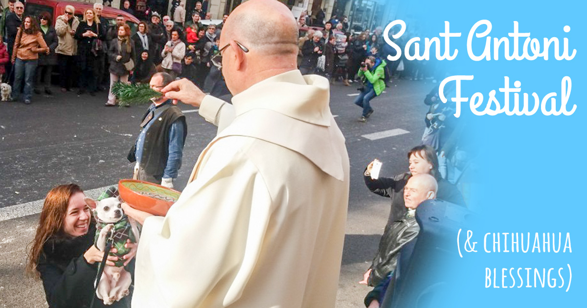 Fiesta de Sant Antoni - Els Tres Tombs