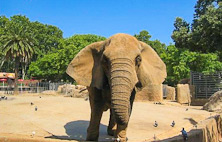 Parque Zoológico de Barcelona