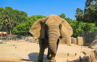 Barcelona Zoo