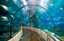 Barcelona Aquarium