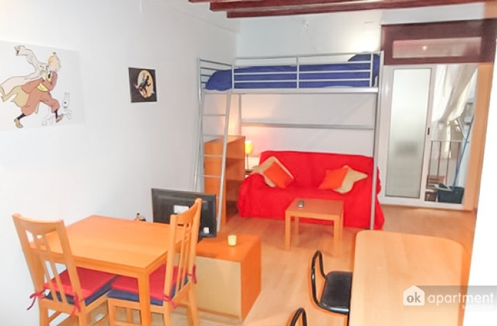 Studio Apartament