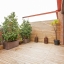 Terrace with furniture and plants