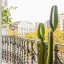 Balcony with cactus