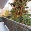 Balcony and tre